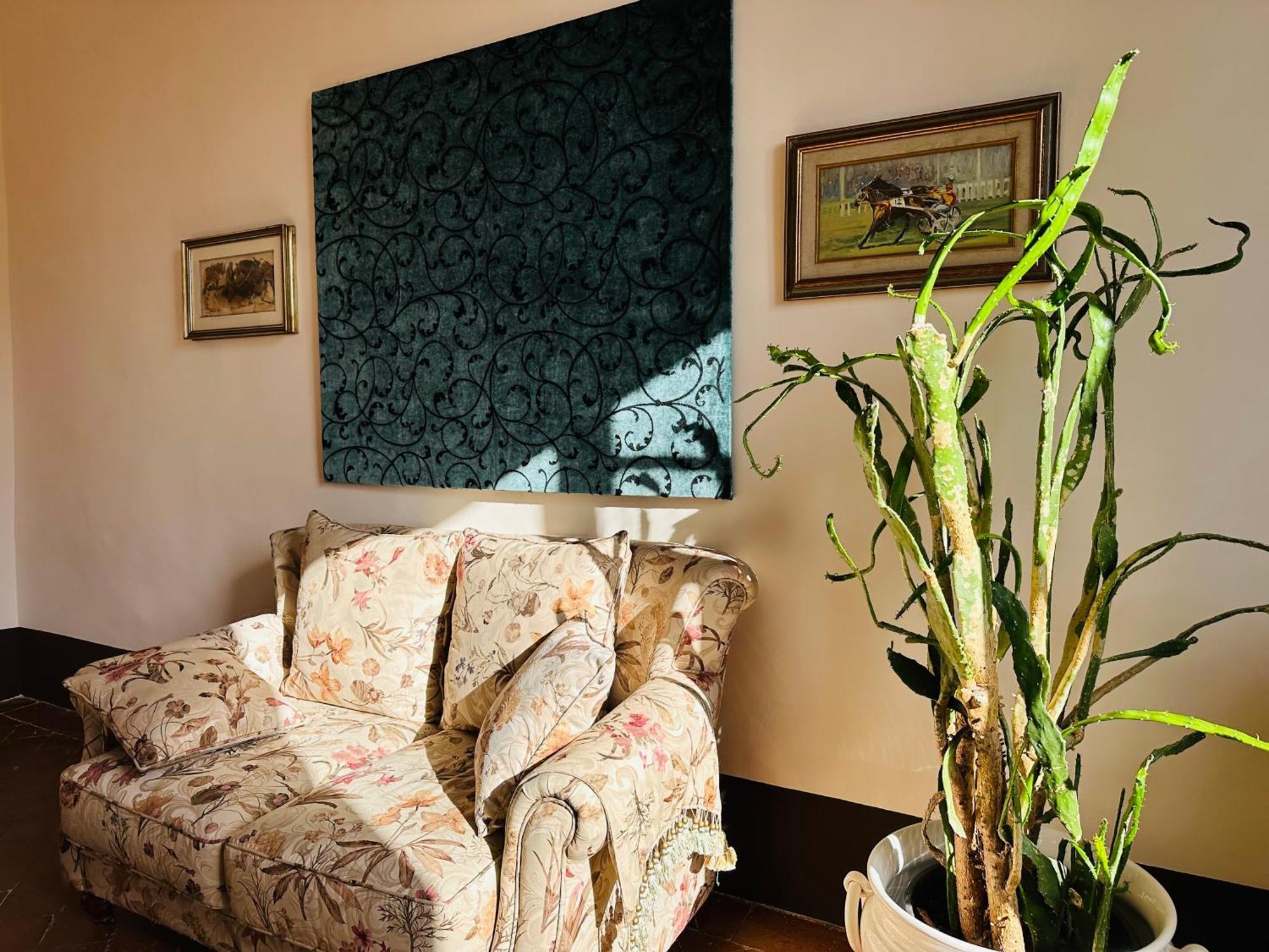 Domus An - Sant'Agata-Historical Home-Very Central เซียนา ภายนอก รูปภาพ